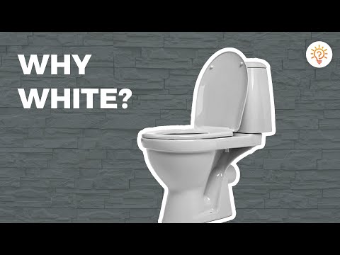 Why Toilets Are White?