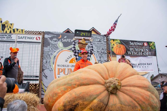 1728955665 2024 HMB pumpkin weigh off winner Travis Gienger under scale readout 8507.jpg