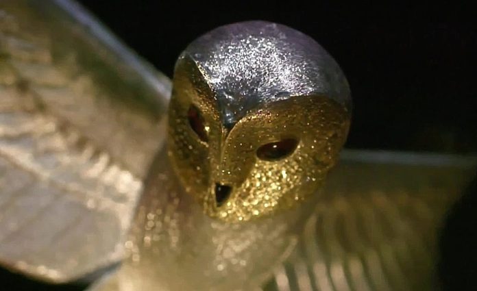 Golden Owl.jpg