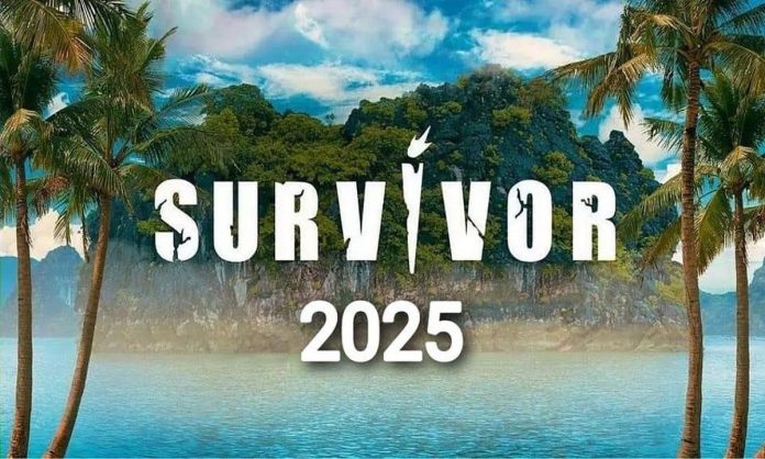 Survivor 6.jpg