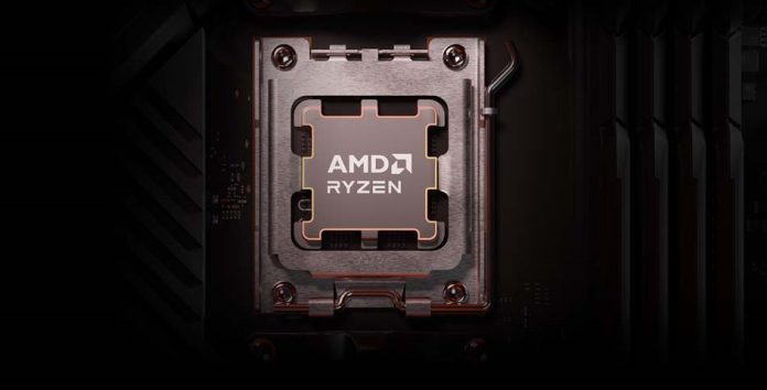 amd.jpg