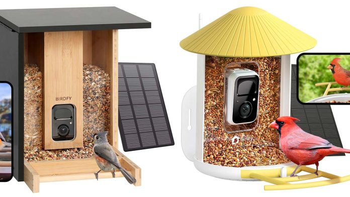 birdfy bird feeders on sale for prime day.jpg