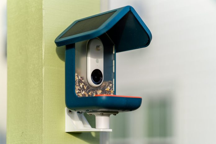 blue birdbuddy bird feeder camera on house.jpg