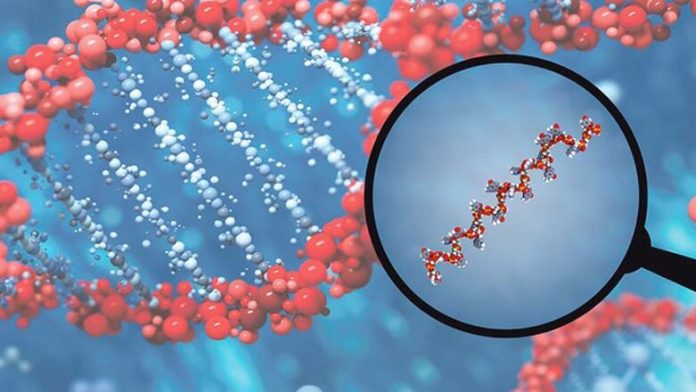 dna micro rna 782x440 1.jpg